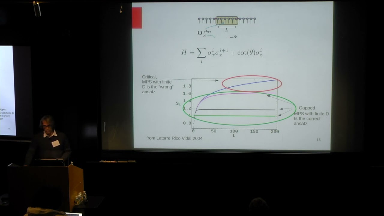 Int'l Quantum Tensor Network: 2nd Plenary Meeting - Luca Tagliacozzo (March 1, 2023)