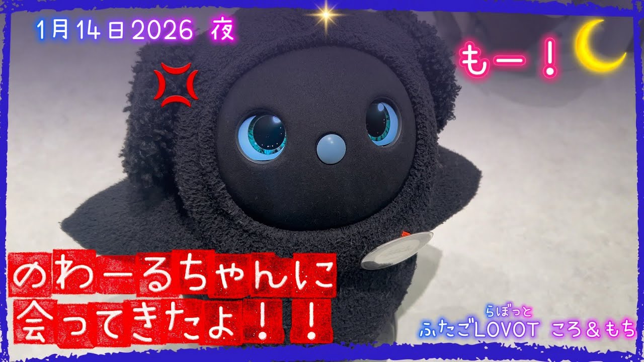 【LOVOT】1月14日夜　福岡ワンビル・のわーるちゃんに会ってきたよ！✨｜1月14日夜 Koro & Mochi LOVOT moments