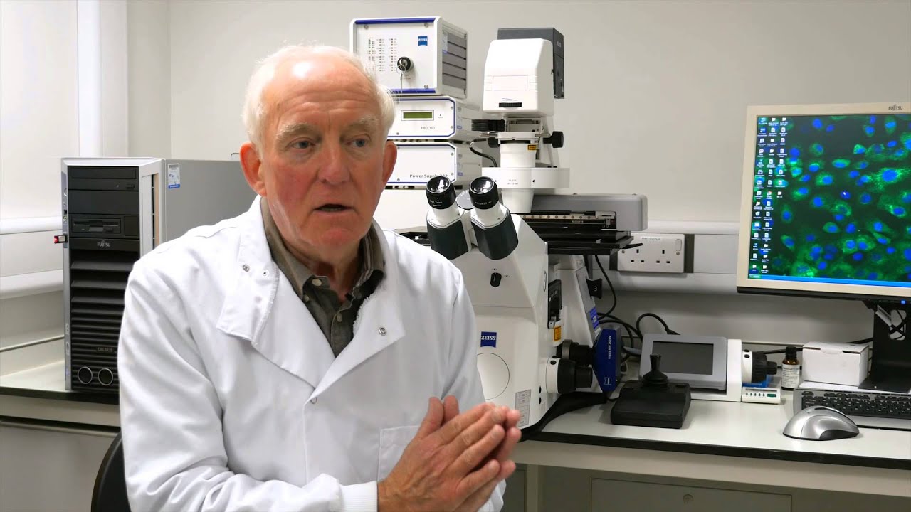 Cancer stem cells and successful and potential treatments