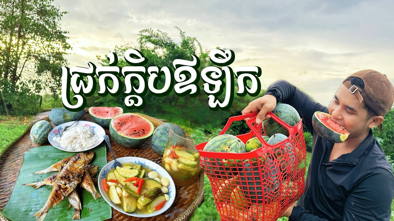 រៀបធ្វើជ្រក់ក្ដិបឪឡឹក តាមបែបអ្នកស្រុកភូមិរបស់ខ្ញុំ (កំពង់ធំ) | Pickled Baby Watermelon