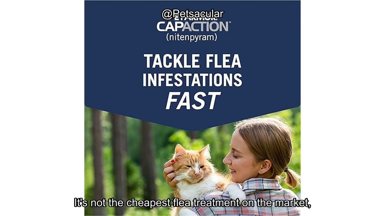 PetArmor CAPACTION Flea Treatment for Cats Review: Fast-Acting & Effective or Overhyped?