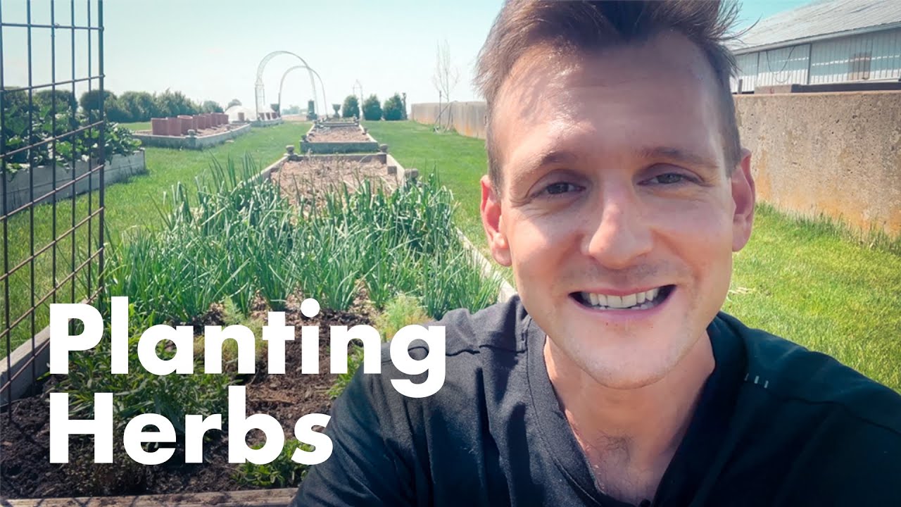 Herb Gardening 101🌱🌿 || Wyse Guide