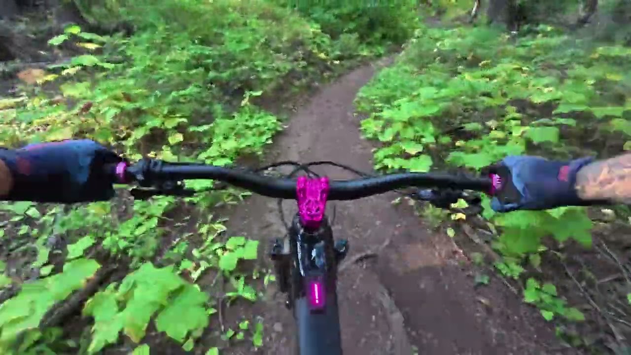 YT Decoy E-MTB: Shredding Tamarack Idaho's Cross Country Trails