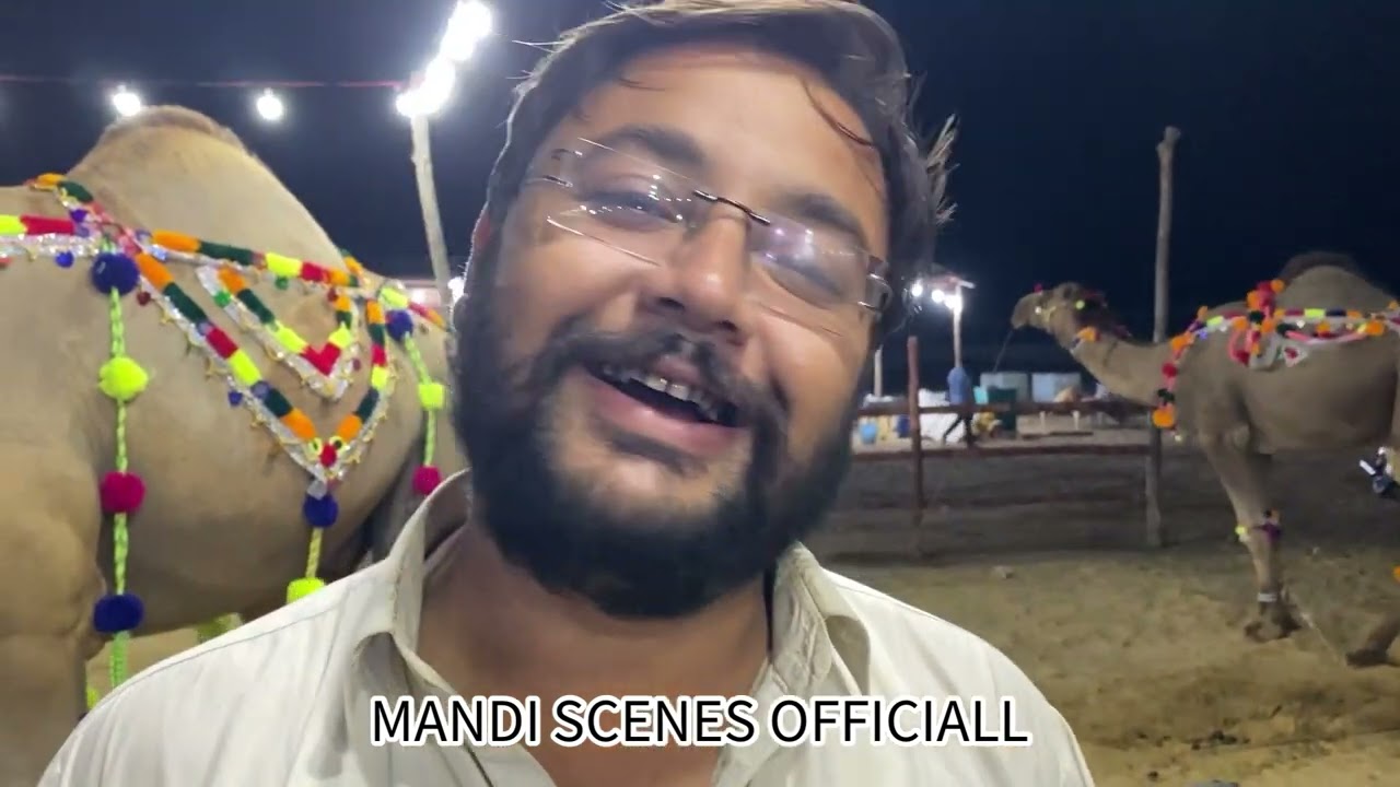 Ounth Mandi 2022 Ajao Camel Lovers
