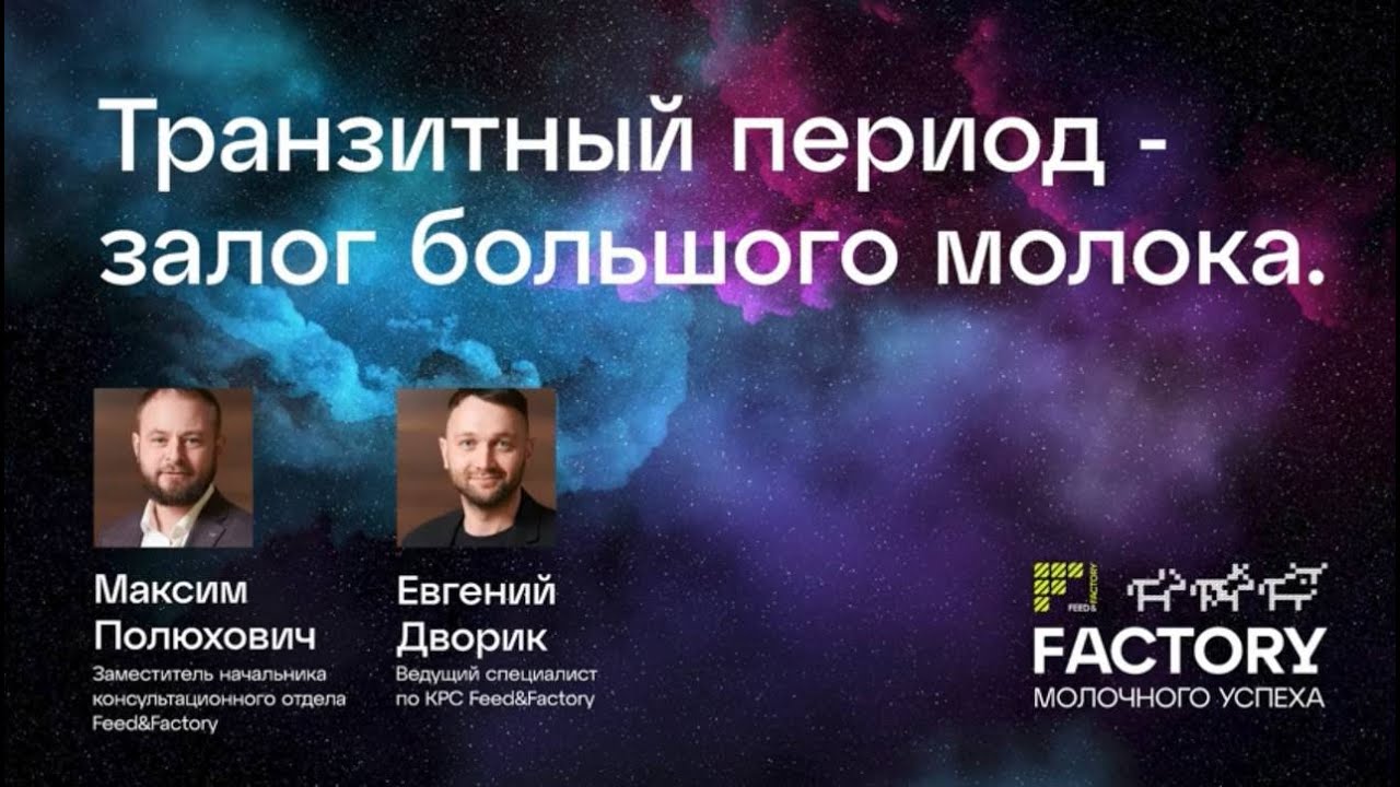 Транзитный период — залог большого молока
