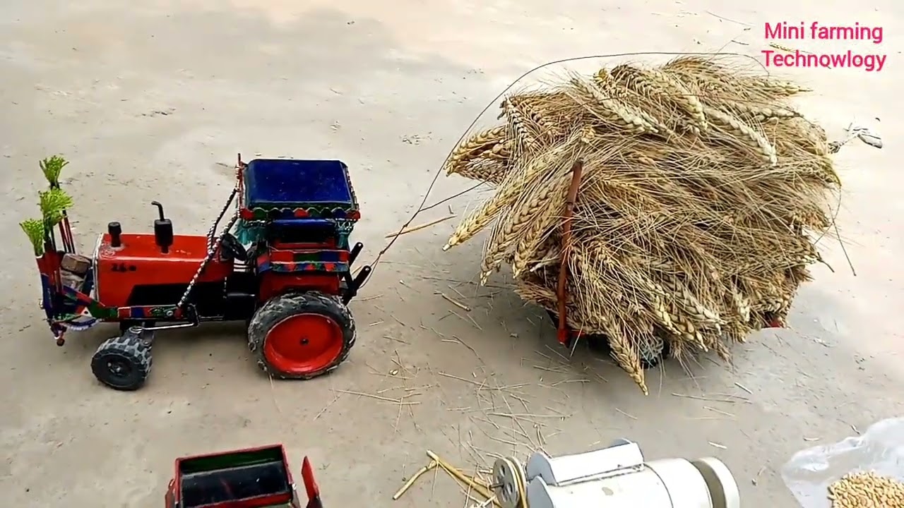 MF 260 tractor tarala heavy load wheat new video 2023 #mini #fiattractor #tractor #pk