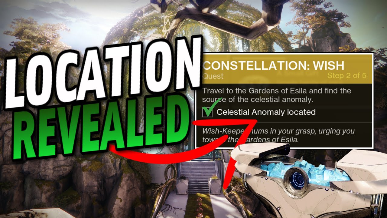 What Happens When The SECRET Portal Opens... CONSTELLATION WISH Location & FINAL Starcat | Destiny 2