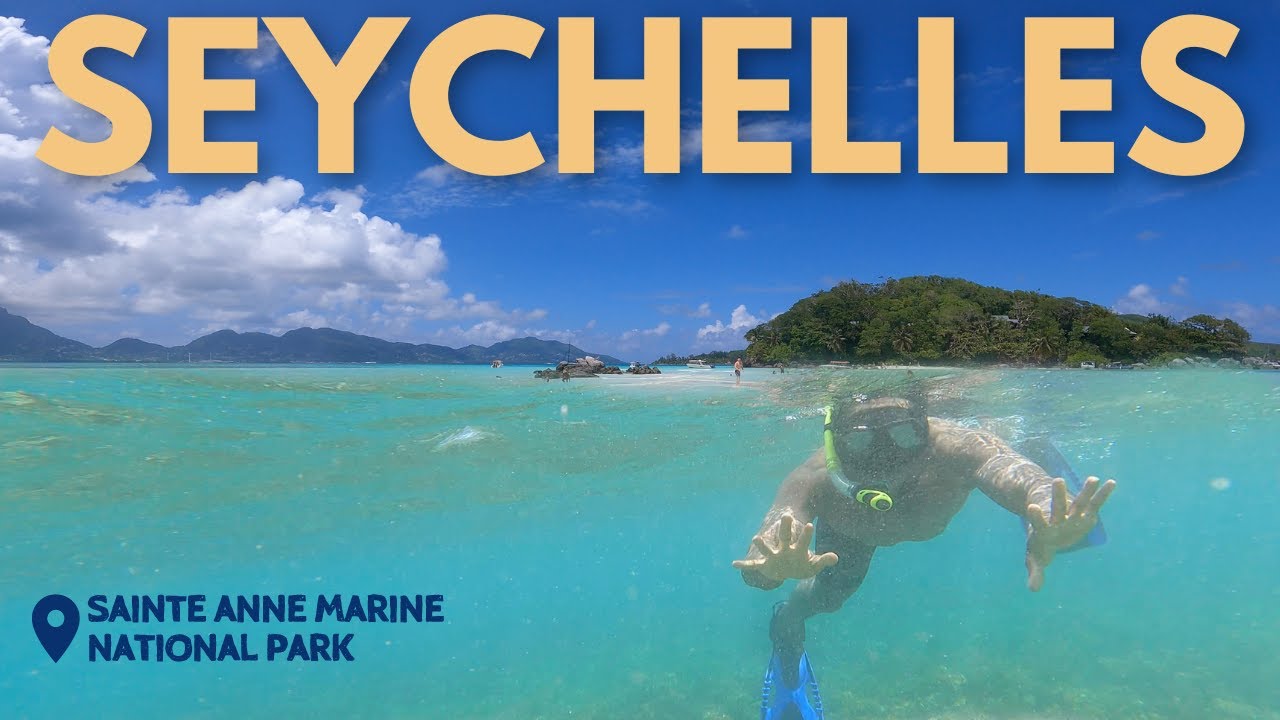 Exploring Seychelles Marine Life: Snorkeling and Biodviersity Across Islands 🇸🇨