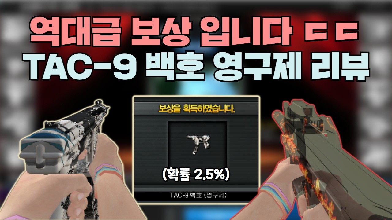 [서든어택] '역대급 보조무기' TAC-9 백호 영구제를 뽑을 수 있는 브레드의 선택 리뷰