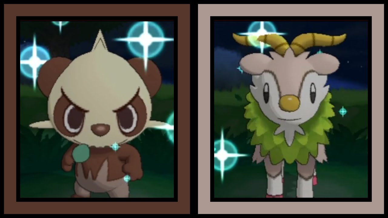 [LIVE] Shiny Pancham and Shiny Skiddo in Pokémon Y [Y DTQ #2 #3]