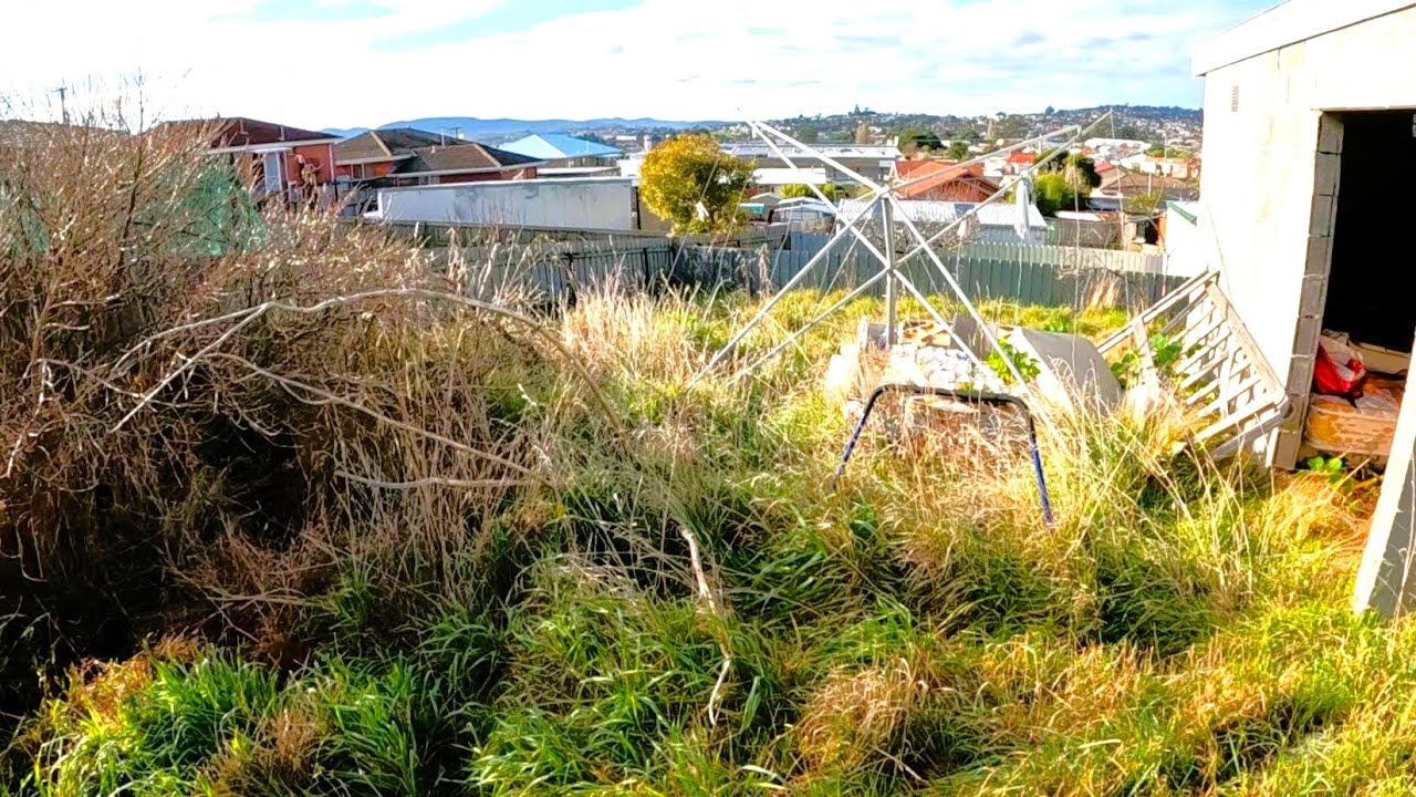 From Junkyard to PARADISE: The Ultimate Yard TRANSFORMATION