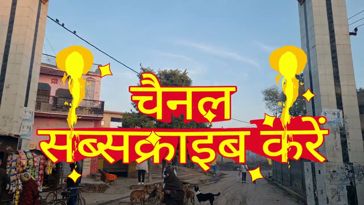 कर्म सिंह का सुबह दान ♻️🤩😍 #कर्मसिंहदान 🐶🐒#दानधर्म 🐶#पशुप्रेम 🐶❤️#बंदरसेवा 🐒#कुत्तासेवा 🐶#मानवता 🐶🐒