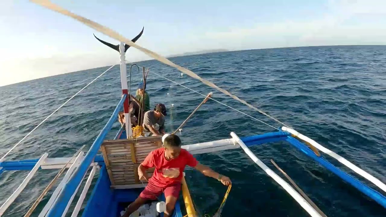 Pamo Fishing in Masbate#public #philippines#fishingnet#trendingvideo 