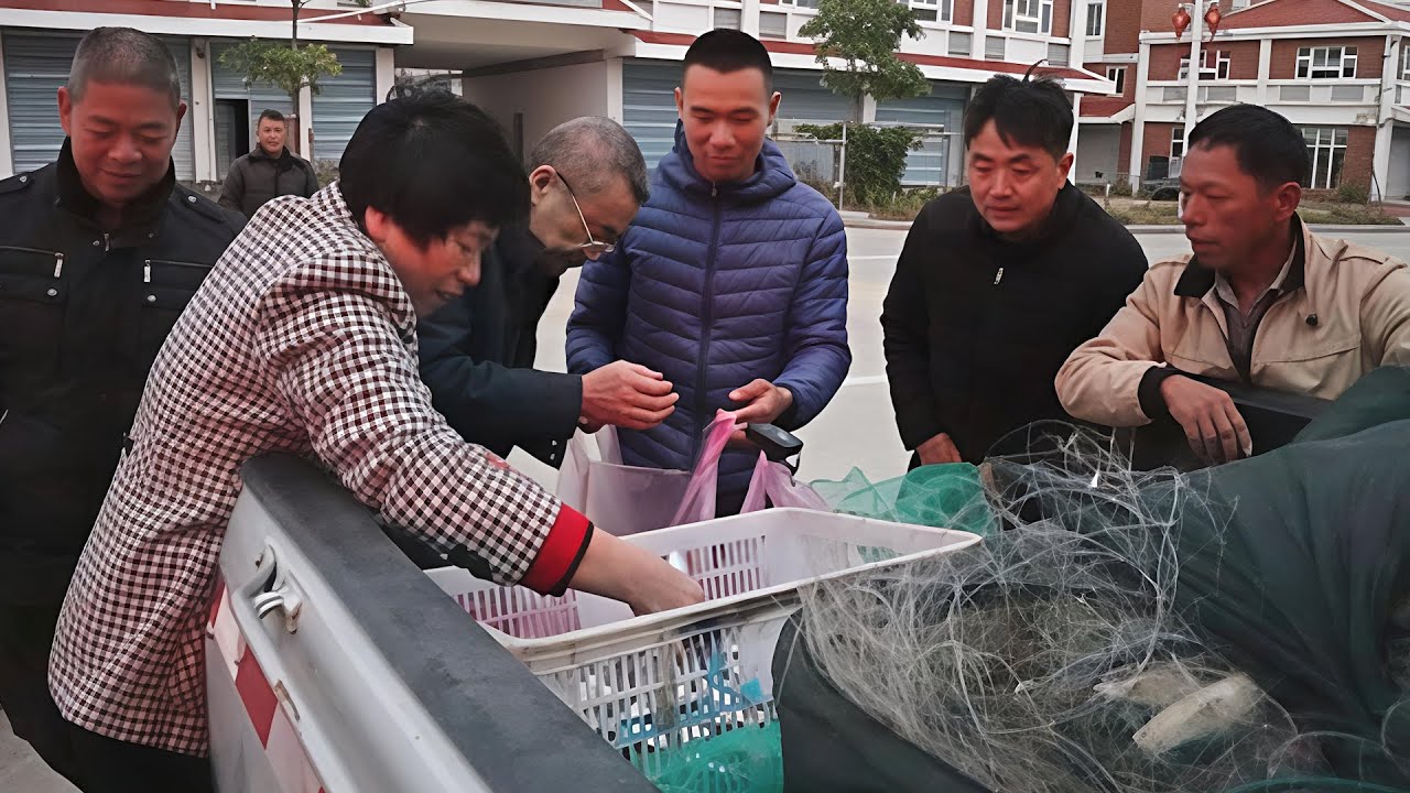 阿烽阿雄抓到大几十斤鱼，用车拉到村里去卖，引村民围抢发财了