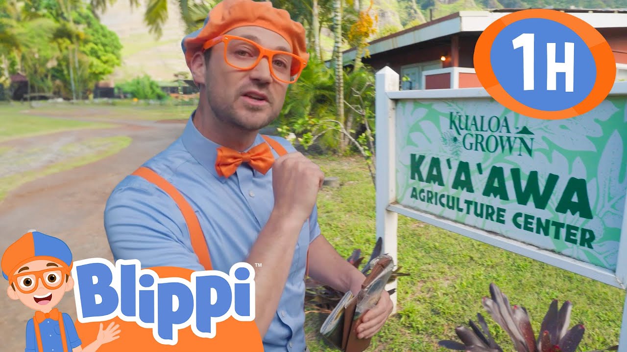 Blippi Explores Kualoa Ranch by ATV & Horse! 🐎 | Blippi | Kids TV Shows