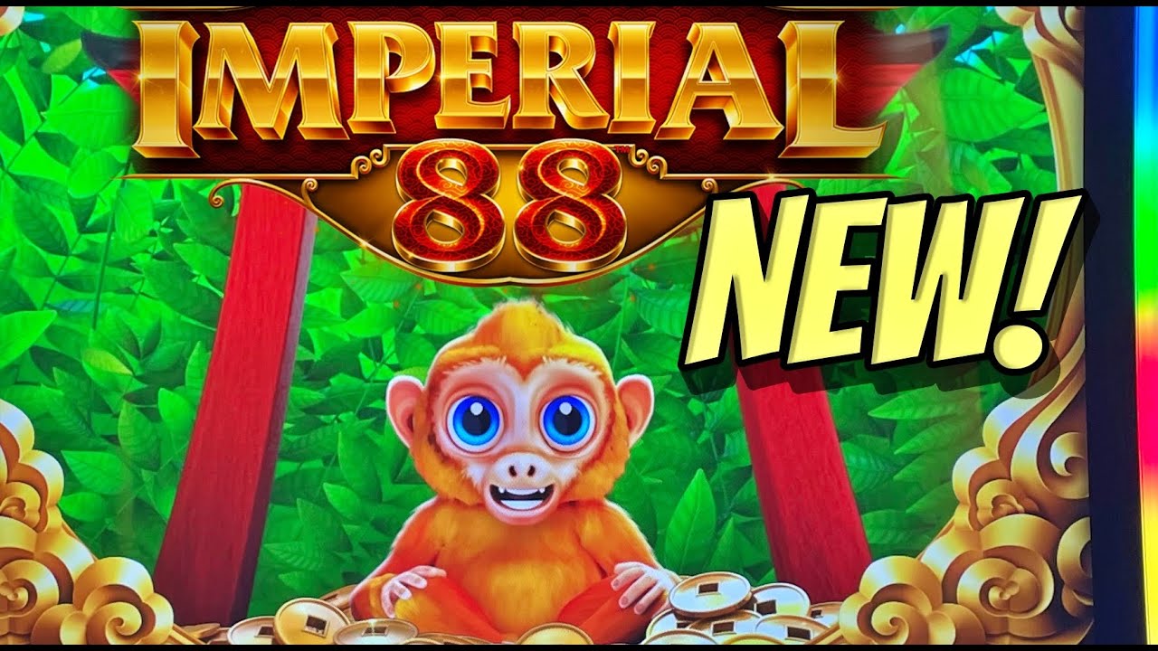 NEW SLOT: Super fun sesh on the new Monkey Legends Imperial 88 slot!