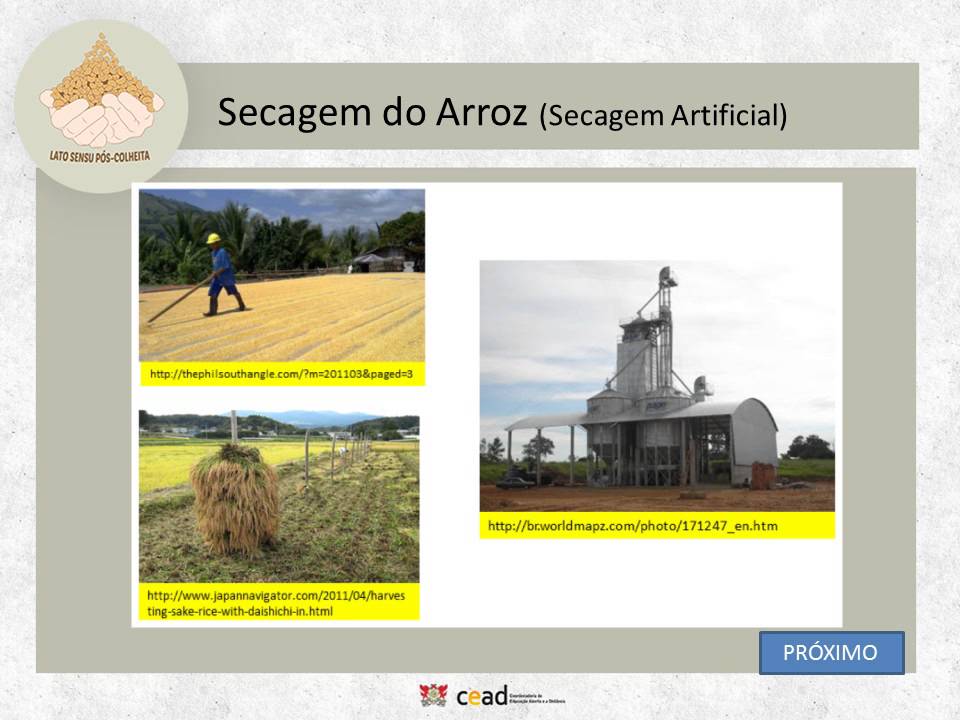 Secagem e armazenagem do Arroz