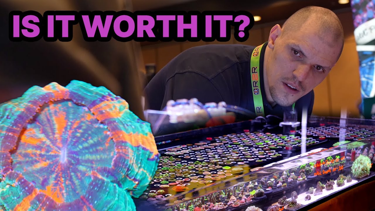 What happened at the ReefAPalooza?! - Tunze