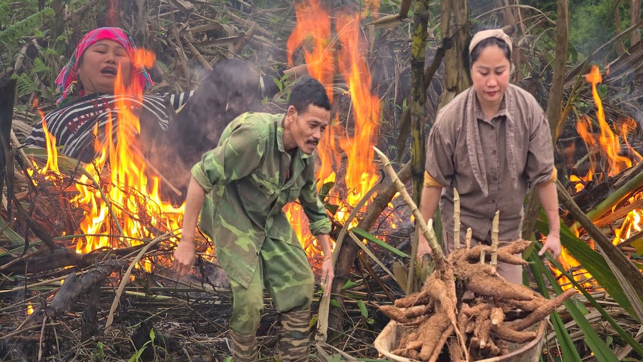 A Huge Fire Broke Out! What Happened While Phuc Ha and Grandpa Were There?