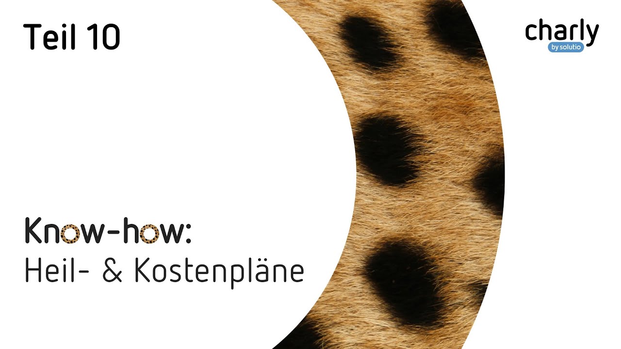 HKP-Erstellung leicht gemacht // Lernen Sie charly kennen!