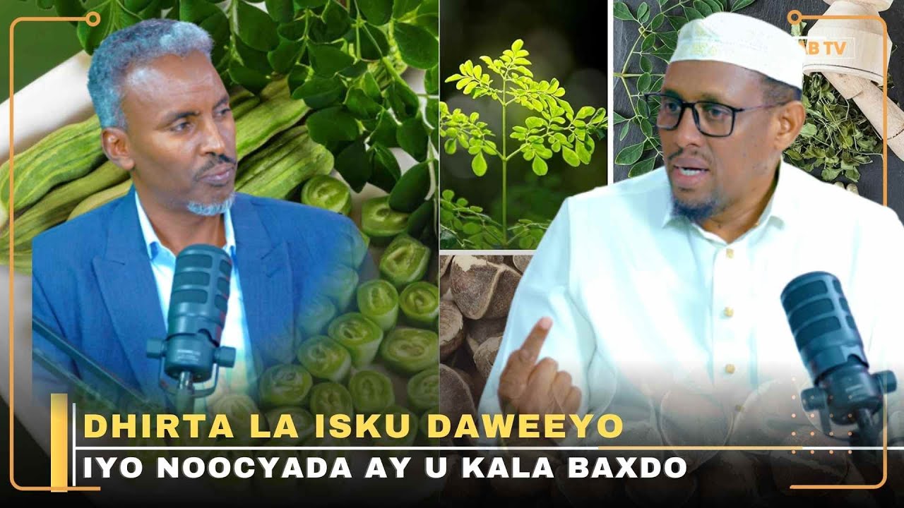 Isku daaweynta dhirta kala duwan iyo waxa ay kaga fiican tahay dawooyinka kimikalka ah