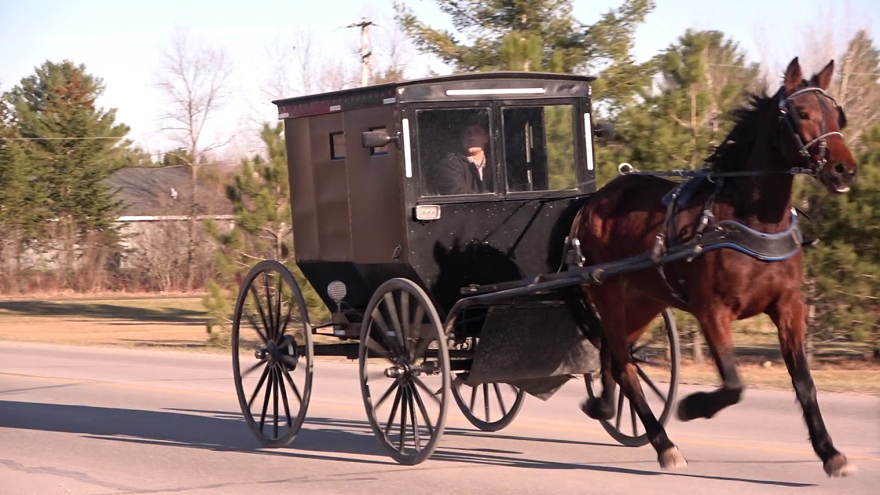 Family Transportation For The Old Order Amish. Mio, Michigan
