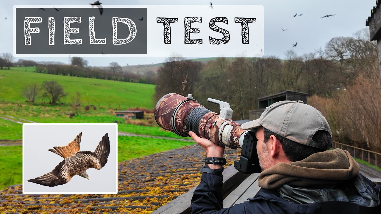 How fast is the Sony a9 III? Photographing red kites in flight...