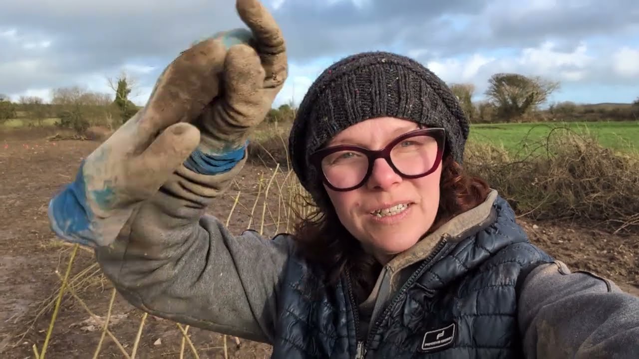 More excitements! Ep. 13 | The Land.