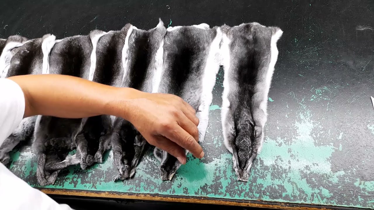 Chinchilla Fur Coats : How are they (hand)made ?