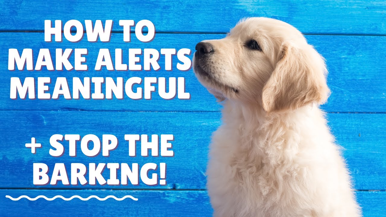 Making Alerts Meaningful with Data Enrichment