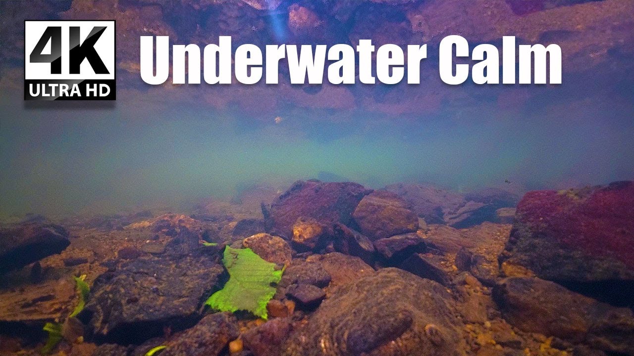 Underwater Calm 🌊 3 Hours of Deep Meditation & Relaxation