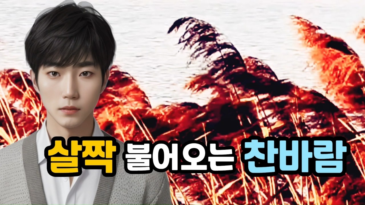 살짝 불어오는 찬바람 ㅣ감성음악 ㅣ전곡듣기