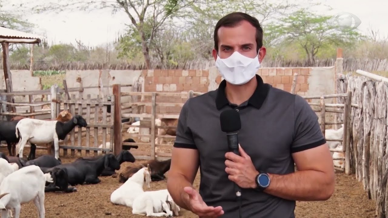NOSSO AGRO - 22 de janeiro de 2022
