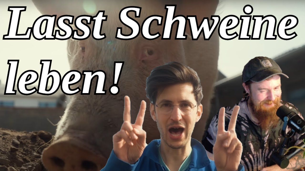 Wenn Schweine leben dürfen | Reaktion auf @DerTierarzt
