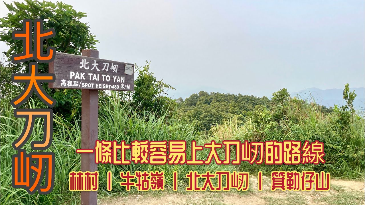 [香港行山郊遊好去處]北大刀屻 牛牯嶺|一條相對簡單的路徑上大刀屻|2.6公里全里柏油路牛牯嶺行山徑|大埔林村往粉嶺8公里行山路線|新界北練跑斜路好路線|大埔行山路線|粉嶺行山路線|HK HIKING