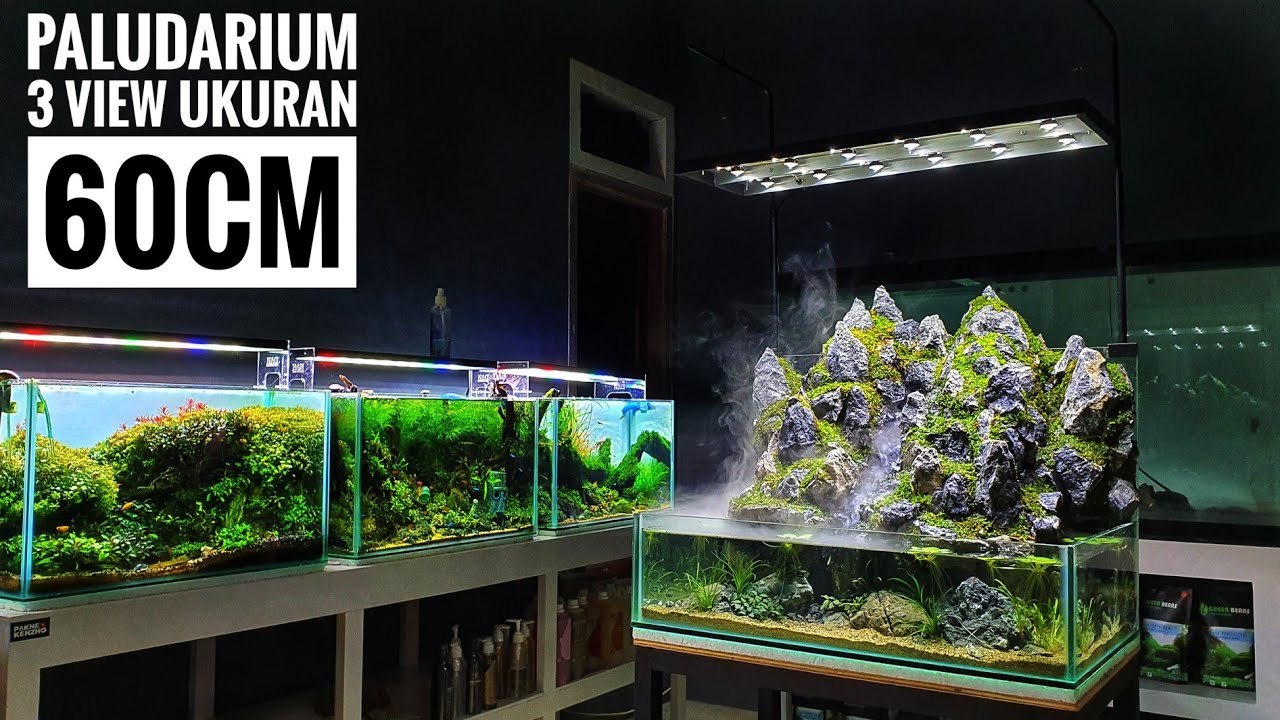 #234 Membuat paludarium 3 sisi dengan Air mengalir