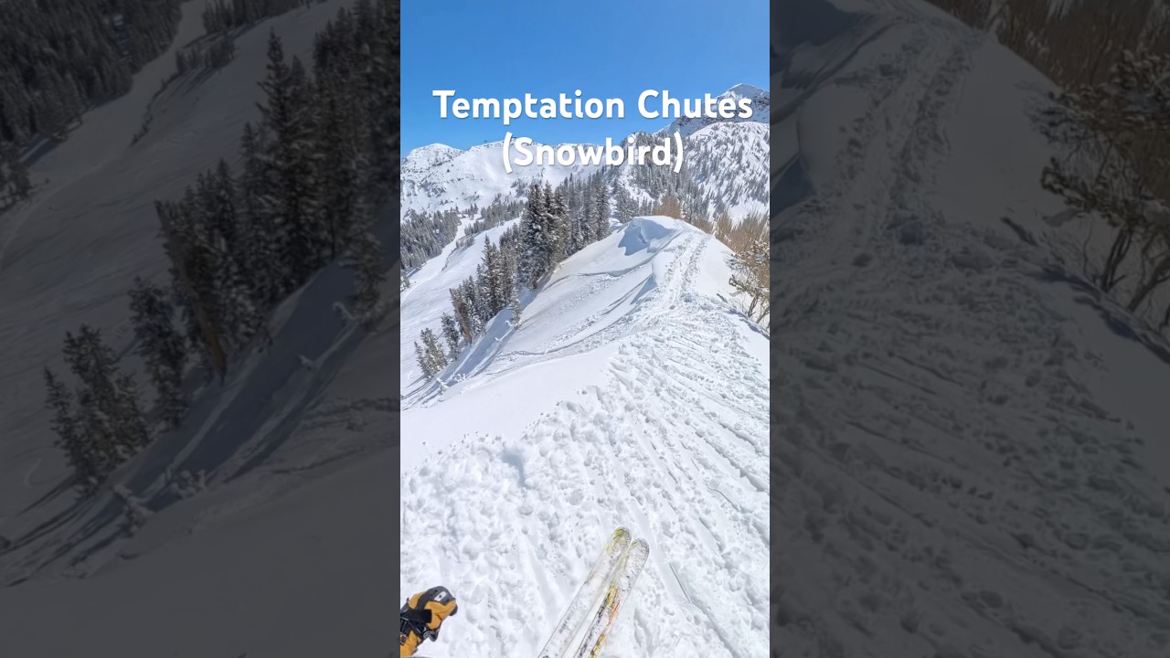 #Snowbird