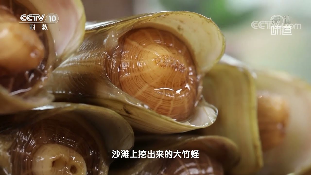 独属于日照的特殊风味蛏子菜肴&mdash;&mdash;茶叶熘竹蛏《味道》20210830| 美食中国 Tasty China
