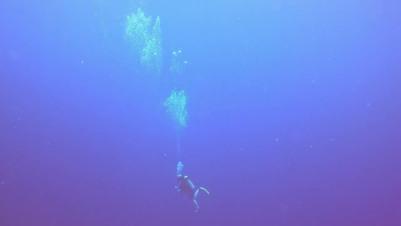 Palau 2026 Virgin blue hole