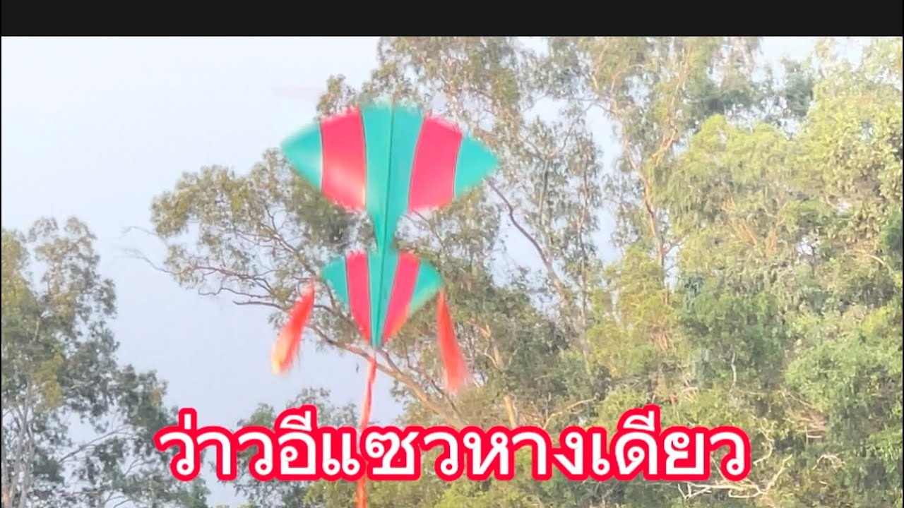 ปล่อยว่าวแซวหางเดียว