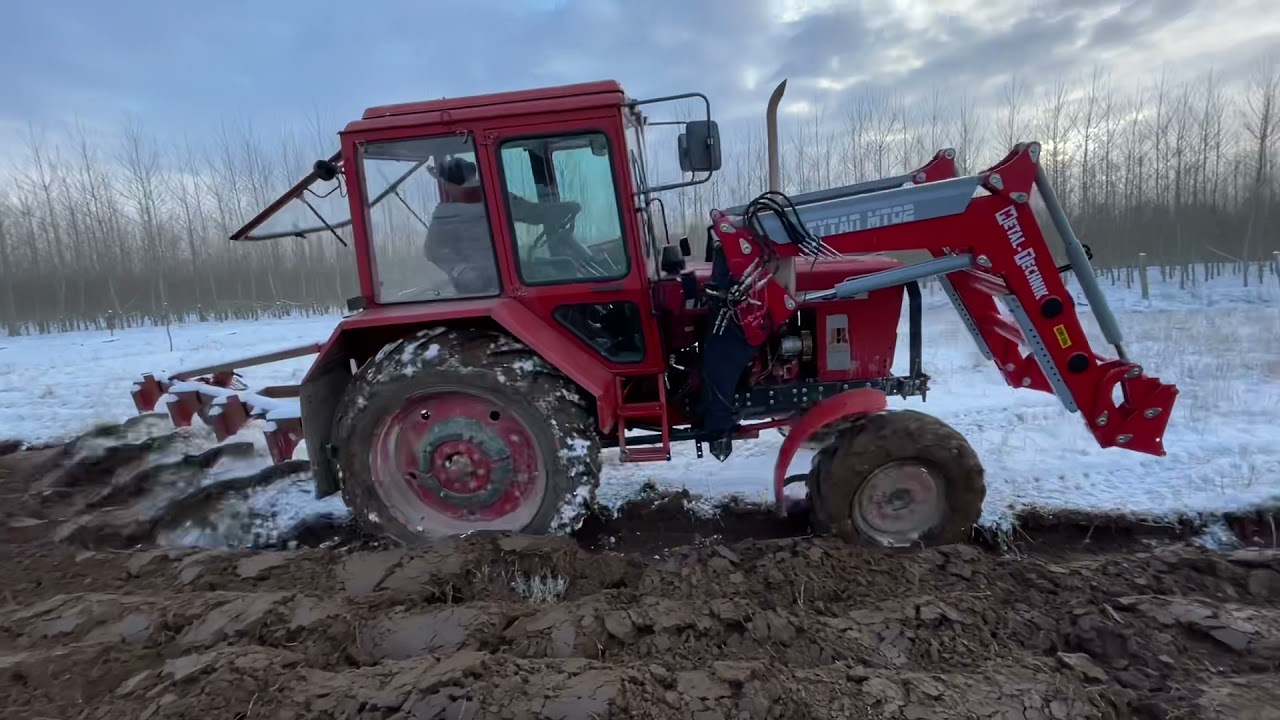 Świąteczna orka i urywek kuligu 🏂😁 | MTZ 82 i Unia Grudziądz 4 skiby |