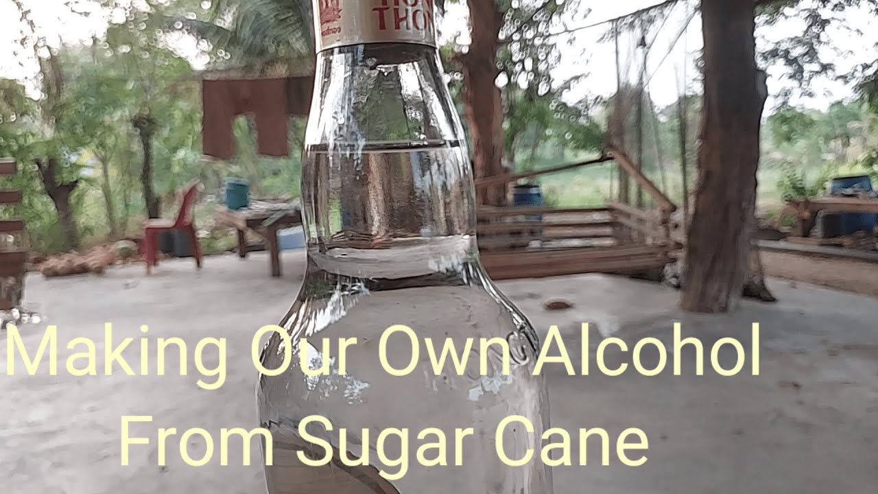 Making Our Own Alcohol From Sugar Cane