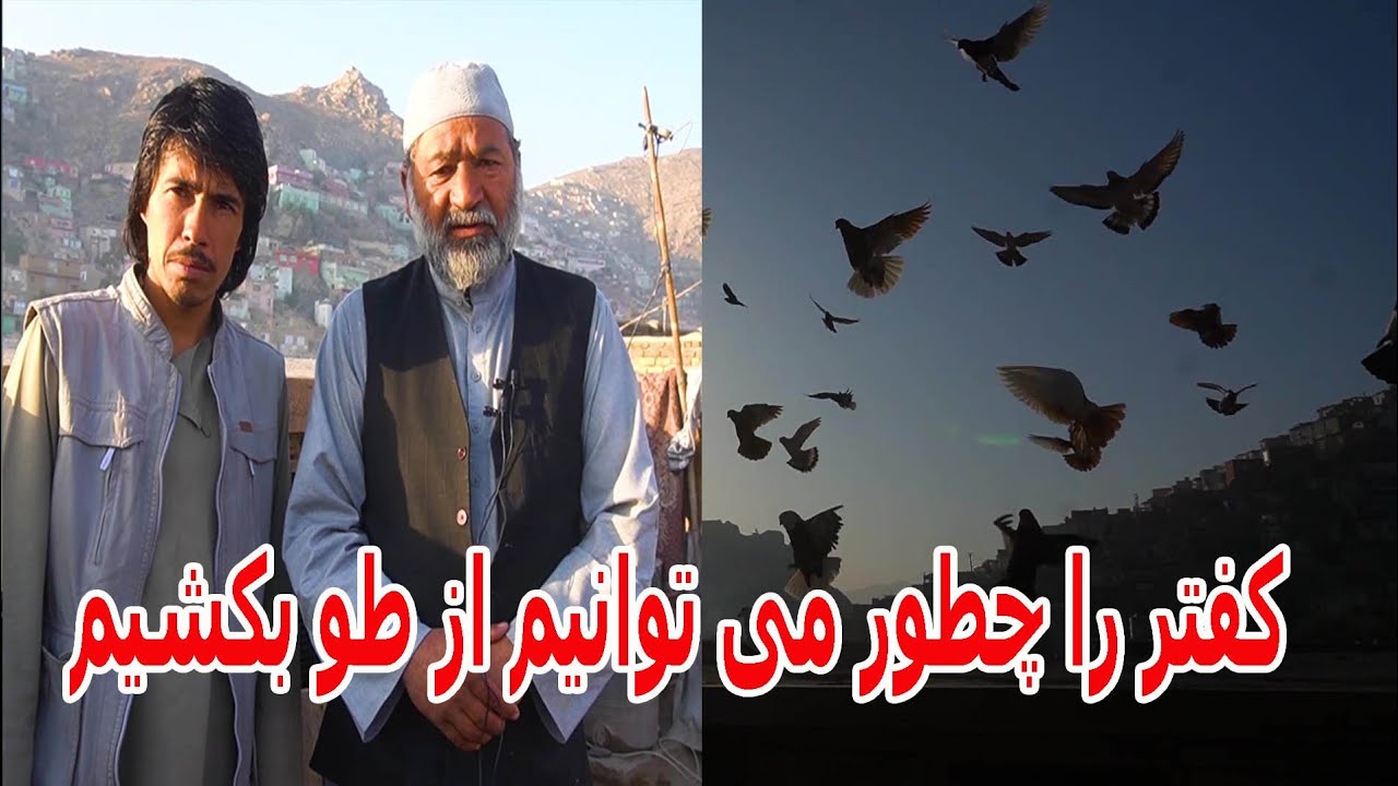 کفتربازی ماما شاه حسین در بام سخی جان!