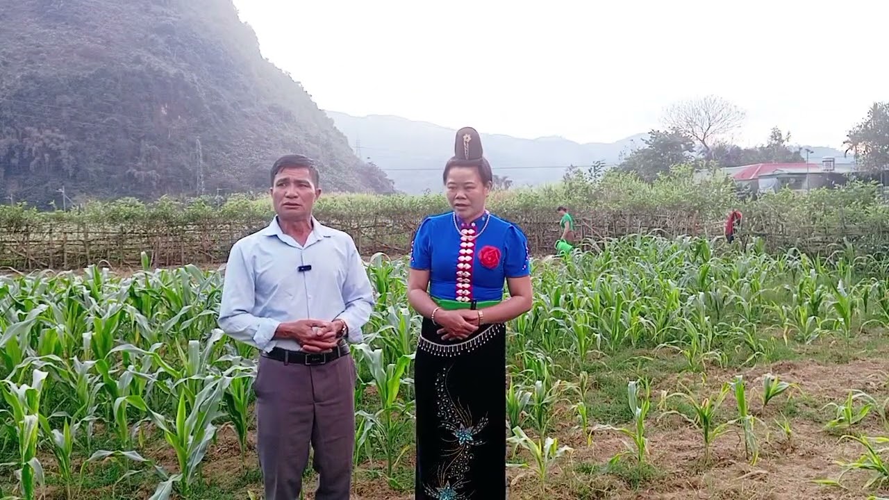 Hát thái song ca giao duyên hay#hatthai #hatthaisonla