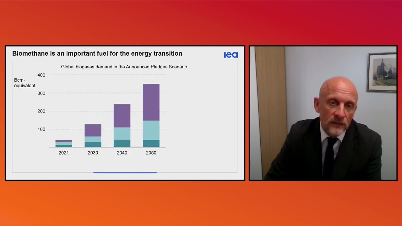 Tim Gould, Chief Energy Economist, International Energy Agency (IEA): Outlook for Biomethane