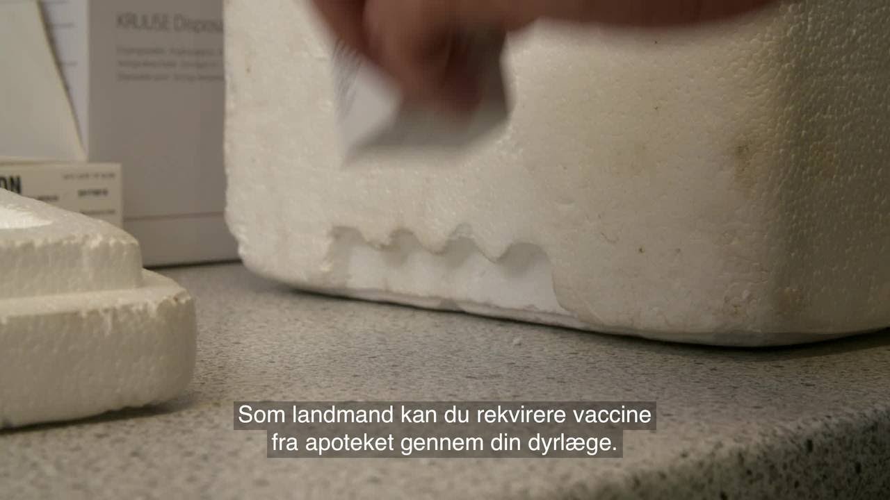 Opbevaring og brug af vacciner