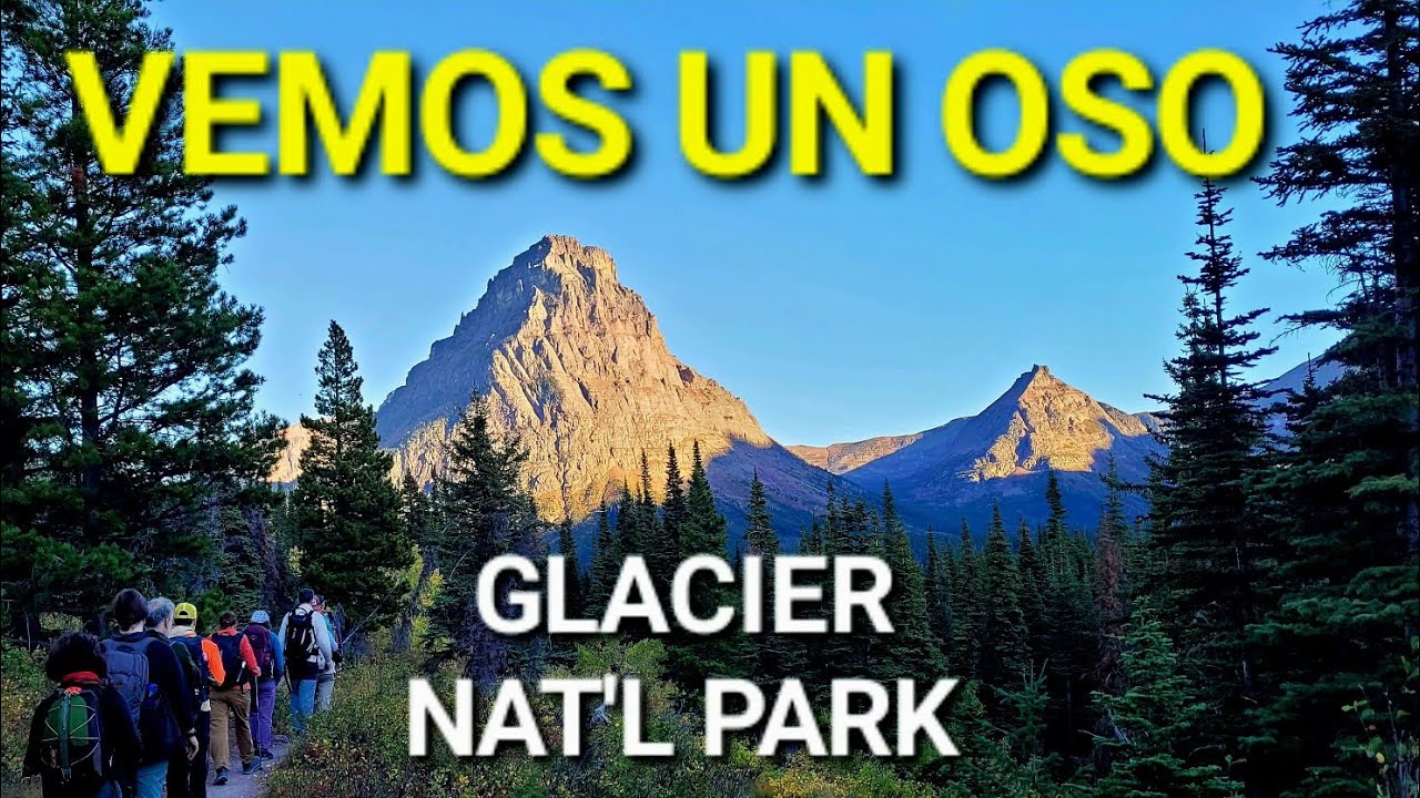 Las Rocosas - OSO GRIZZLY en Tierra de Pies Negros | Senderismo en Montana - GLACIER NAT´L PARK