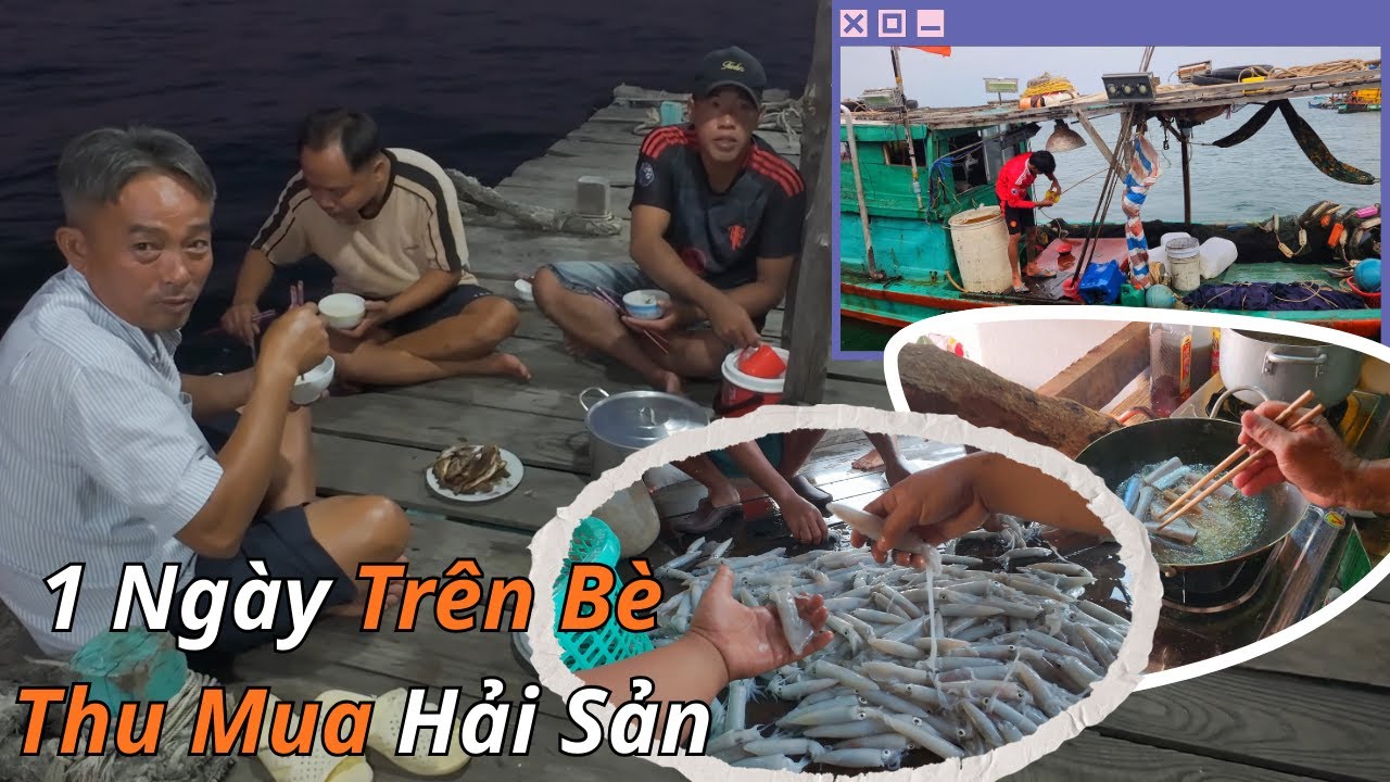 Trải Nghiệm 1 Ngày Trên Bè Thu Mua | Mực Tươi Xanh Gió Mát Rất Yên Bình | honsontutuc