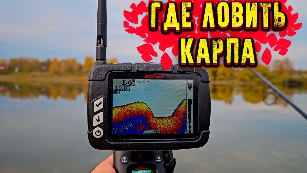 Где ловить карпа Зимой Весной Летом Осенью