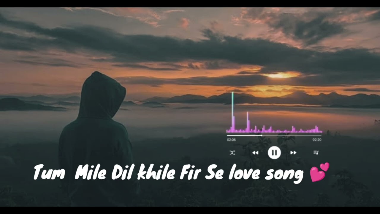 Tum Mile Dil khile Fir Se love Song 💕